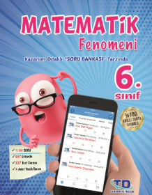 6.Sınıf Matematik Büyük Boy Fenomen